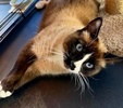 George