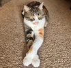 MistyMay